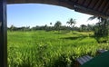 Rice terraces, Bali, Indonesia Royalty Free Stock Photo