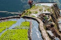 Rice-terraces of Banaue