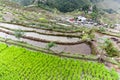 Rice terraces Batad philippines Royalty Free Stock Photo