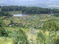 Rice terraces of Batutumonga Tana Toraja