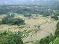 Rice terraces of Batutumonga Tana Toraja