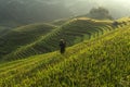 Rice terraces of the city Mu cang Chai,Yenbai,Vietnam