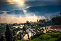 Rice terraces and diffraction light