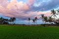 Rice terraces in the evening on the background of the ocean