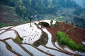 Rice terraces and farmer