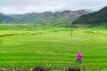 Rice terraces field in Rainning season at Tule