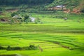 Rice terraces field in Rainning season at Tule