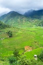 Rice terraces field in Rainning season