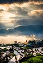 Rice terraces and fog