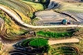 Rice terraces of the H'Mong ethnic people in Northenr Vietnam at the water filling season (May 2015) Royalty Free Stock Photo