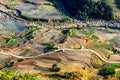 Rice terraces of the H'Mong ethnic people in Northenr Vietnam at the water filling season (May 2015) Royalty Free Stock Photo