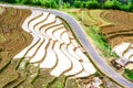 Rice terraces of the H'Mong ethnic people in Northenr Vietnam at the water filling season (May 2015) Royalty Free Stock Photo