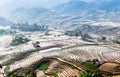 Rice terraces of the H'Mong ethnic people in Y Ty, Laocai, Vietnam at the water filling season (May 2015)