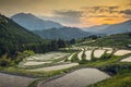 Rice Terraces Royalty Free Stock Photo