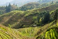 Rice terraces in Longsheng, China