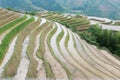 Rice terraces at Longsheng, China Royalty Free Stock Photo