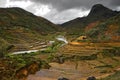 Rice terraces Madagascar