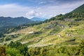 Rice Terraces Royalty Free Stock Photo