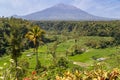 Rice terraces with Mount Agung in background, Bali, Indonesia