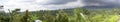 Rice terraces and palm trees. Bali, Indonesia Royalty Free Stock Photo