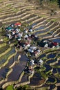 Rice Terraces, Philippine.