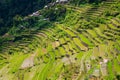 Rice terraces in the Philippines. The village is in a valley among the rice terraces. Rice cultivation in the North of the Philip Royalty Free Stock Photo