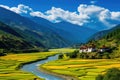 Rice terraces in Sapa, Vietnam. Sapa is one of the most beautiful villages in Vietnam, Bhutan, Tashichho Dzong in Thimphu. Royalty Free Stock Photo