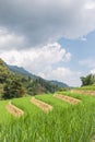 Rice Terraces and Sky Royalty Free Stock Photo