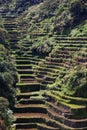 Rice terraces in South East Asia Royalty Free Stock Photo