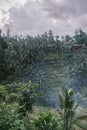 Rice terraces tegalalang. Bali, ubud. View of cascading rice fields against backdrop of palm trees. Attractions bali Royalty Free Stock Photo