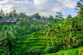 Rice terraces in Tegallalang, Ubud, Bali, Indonesia