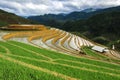 Rice terraces in Vietnam Royalty Free Stock Photo