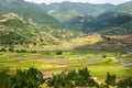 Rice Terraces in Vietnam