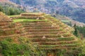 Rice terraces in autumn in Longji/Longsheng (Unesco), Guilin, China