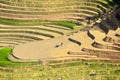 Rice terraces in the watering season