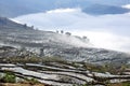 Rice terraces YTy, LaoCai, VietNam Royalty Free Stock Photo