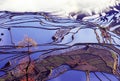 Rice terraces of yuanyang