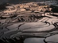 Rice terraces Yuanyang, China Royalty Free Stock Photo