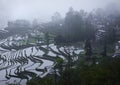 Rice terraces in Yuanyang China Royalty Free Stock Photo