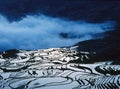 Rice terraces of yuanyang in the morning Royalty Free Stock Photo