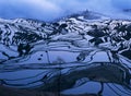 Rice terraces of yuanyang in the morning Royalty Free Stock Photo