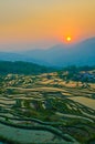 Rice terraces of yuanyang, yunnan, china Royalty Free Stock Photo