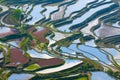 Rice terraces of yuanyang, yunnan, china Royalty Free Stock Photo