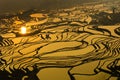 Rice terraces of yuanyang, yunnan, china Royalty Free Stock Photo