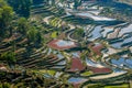Rice terraces of Yuanyang, Yunnan, China Royalty Free Stock Photo