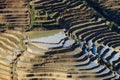 The famous terraced rice fields of Yuanyang in Yunnan province in China Royalty Free Stock Photo