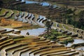 The famous terraced rice fields of Yuanyang in Yunnan province in China Royalty Free Stock Photo