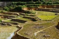 The famous terraced rice fields of Yuanyang in Yunnan province in China Royalty Free Stock Photo