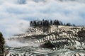 Rice terraces of Yunnan province amid the scenic morning fog. Royalty Free Stock Photo