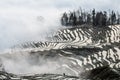 Rice terraces of Yunnan province amid the scenic morning fog. Royalty Free Stock Photo